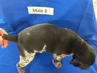 processed/e5280c10-0231-494c-b105-f4fac3436322/listing/10b73a4d-4af2-400e-aacc-13458e4602b9/72da0e86-e79b-41c0-a3a2-111a1b85a7ae