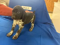 processed/e5280c10-0231-494c-b105-f4fac3436322/listing/10b73a4d-4af2-400e-aacc-13458e4602b9/9d1a542e-b6bc-4408-b065-9f47082f6f8e