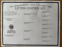 processed/e5280c10-0231-494c-b105-f4fac3436322/listing/10b73a4d-4af2-400e-aacc-13458e4602b9/b5f1afef-ca0b-4455-ba38-56d22ffa312b