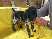 processed/e5280c10-0231-494c-b105-f4fac3436322/listing/10b73a4d-4af2-400e-aacc-13458e4602b9/d55a239a-e3bd-4136-ab50-06469f6fb916