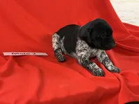 processed/e5280c10-0231-494c-b105-f4fac3436322/listing/10b73a4d-4af2-400e-aacc-13458e4602b9/d5d01ccb-aa87-4842-82e1-2ecbc8223fe0