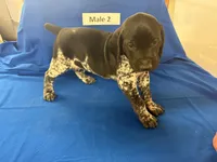 processed/e5280c10-0231-494c-b105-f4fac3436322/listing/10b73a4d-4af2-400e-aacc-13458e4602b9/f6d4e628-9e24-42d6-9385-9a75e7930003