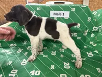 processed/e5280c10-0231-494c-b105-f4fac3436322/listing/224c440b-78e7-41b9-ad02-c5e7d6af46cb/288ce396-43f0-46c3-92ab-089c283b513a