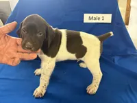 processed/e5280c10-0231-494c-b105-f4fac3436322/listing/224c440b-78e7-41b9-ad02-c5e7d6af46cb/5032d42b-f2ef-479c-9f35-278b0417d565