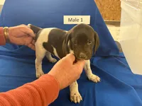 processed/e5280c10-0231-494c-b105-f4fac3436322/listing/224c440b-78e7-41b9-ad02-c5e7d6af46cb/5486621e-75e0-452b-870a-b220bc1b1600