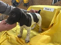 processed/e5280c10-0231-494c-b105-f4fac3436322/listing/224c440b-78e7-41b9-ad02-c5e7d6af46cb/64e3540d-3e13-4135-bd18-e4401c01dc8d