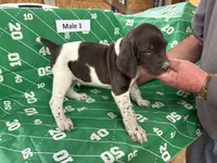 processed/e5280c10-0231-494c-b105-f4fac3436322/listing/224c440b-78e7-41b9-ad02-c5e7d6af46cb/722b9bd6-f934-4ad4-b76e-af55958f740c