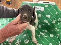 processed/e5280c10-0231-494c-b105-f4fac3436322/listing/224c440b-78e7-41b9-ad02-c5e7d6af46cb/cd2d95e4-5712-4d27-953c-24e3fea70e59