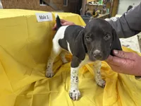 processed/e5280c10-0231-494c-b105-f4fac3436322/listing/224c440b-78e7-41b9-ad02-c5e7d6af46cb/fcdafd42-ffed-4929-8c1c-8e94174937fa