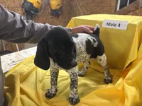 processed/e5280c10-0231-494c-b105-f4fac3436322/listing/271fd979-ab6f-4a64-91d1-69971252afec/01939178-89f3-4931-bc81-0886cf5ea364