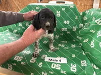 processed/e5280c10-0231-494c-b105-f4fac3436322/listing/271fd979-ab6f-4a64-91d1-69971252afec/22bc5bf0-cfd3-41c3-a133-fbb0a14db4c9