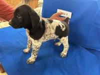 processed/e5280c10-0231-494c-b105-f4fac3436322/listing/271fd979-ab6f-4a64-91d1-69971252afec/2773696b-2c13-4698-afae-99c91e053790