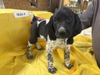 processed/e5280c10-0231-494c-b105-f4fac3436322/listing/271fd979-ab6f-4a64-91d1-69971252afec/2ccfdb2f-95e3-40f2-8461-2a0f4fada08f