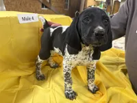 processed/e5280c10-0231-494c-b105-f4fac3436322/listing/271fd979-ab6f-4a64-91d1-69971252afec/444e8c3f-94fc-4c86-8e32-b1015e1e3f40