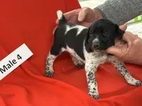 processed/e5280c10-0231-494c-b105-f4fac3436322/listing/271fd979-ab6f-4a64-91d1-69971252afec/78689c76-6b77-4c04-bee0-b2c8abecf4d6