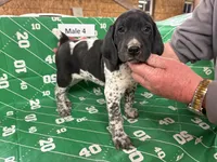 processed/e5280c10-0231-494c-b105-f4fac3436322/listing/271fd979-ab6f-4a64-91d1-69971252afec/9b625499-d40c-4d17-91da-86afcf54e840