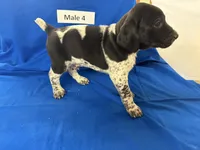 processed/e5280c10-0231-494c-b105-f4fac3436322/listing/271fd979-ab6f-4a64-91d1-69971252afec/b25c7a9a-e805-4085-9fa4-db2d608c5fd4