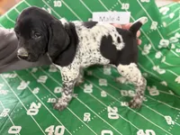 processed/e5280c10-0231-494c-b105-f4fac3436322/listing/271fd979-ab6f-4a64-91d1-69971252afec/d870bfc7-7192-4d9a-88f5-bd203253bd63