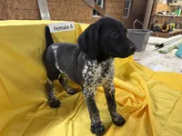 processed/e5280c10-0231-494c-b105-f4fac3436322/listing/33f0c2d6-5baf-4593-937a-055d3503a5e8/4dd4e741-7736-4ea9-9c09-27c4be5c7e89