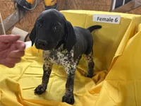 processed/e5280c10-0231-494c-b105-f4fac3436322/listing/33f0c2d6-5baf-4593-937a-055d3503a5e8/57a27a04-6432-4d4d-a87a-a480f957cac5