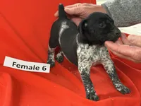 processed/e5280c10-0231-494c-b105-f4fac3436322/listing/33f0c2d6-5baf-4593-937a-055d3503a5e8/92be6ee8-599c-4551-9842-e7c314f4206d