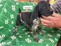 processed/e5280c10-0231-494c-b105-f4fac3436322/listing/33f0c2d6-5baf-4593-937a-055d3503a5e8/95bf63a4-2fb0-458e-a1c8-c7918b61edda