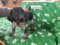 processed/e5280c10-0231-494c-b105-f4fac3436322/listing/33f0c2d6-5baf-4593-937a-055d3503a5e8/a0004fc8-e907-4478-a01a-d4293b642764