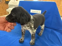 processed/e5280c10-0231-494c-b105-f4fac3436322/listing/33f0c2d6-5baf-4593-937a-055d3503a5e8/abedb5ec-dbe0-41be-a69a-f5aa5855b083