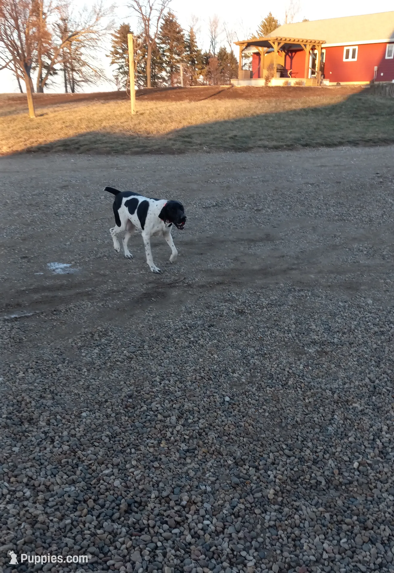 processed/e5280c10-0231-494c-b105-f4fac3436322/listing/52893109-5712-4d6b-a28b-004d9074337e/4fcc586a-81ab-4091-9d96-7f0994a93f85