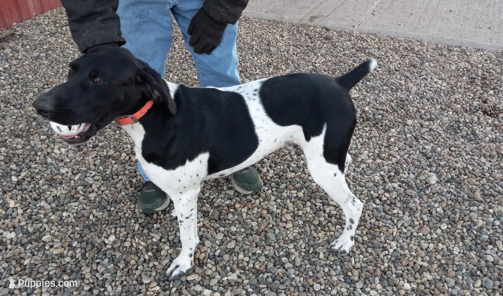 processed/e5280c10-0231-494c-b105-f4fac3436322/listing/52893109-5712-4d6b-a28b-004d9074337e/6be5808c-94dd-40d9-9907-4b9e30e3ec4b