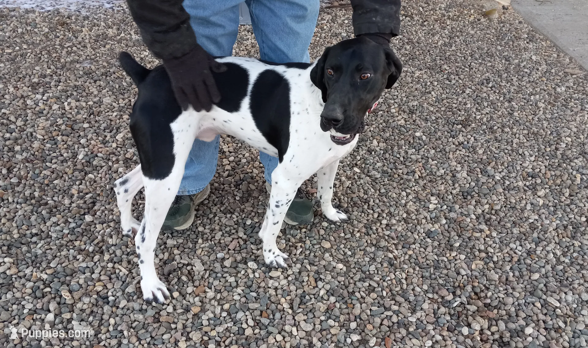 processed/e5280c10-0231-494c-b105-f4fac3436322/listing/52893109-5712-4d6b-a28b-004d9074337e/96a838ad-d9b3-4b6e-a4a1-3277bfb058aa