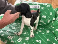 processed/e5280c10-0231-494c-b105-f4fac3436322/listing/d2b65708-8f5b-4d91-95d4-b0f11d157c78/031c9d3e-4812-4b0f-b7bd-a571210d143b