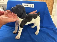 processed/e5280c10-0231-494c-b105-f4fac3436322/listing/d2b65708-8f5b-4d91-95d4-b0f11d157c78/0ee1ef0f-7641-4cf2-a1e8-15f50e57d6c7