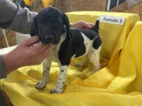 processed/e5280c10-0231-494c-b105-f4fac3436322/listing/d2b65708-8f5b-4d91-95d4-b0f11d157c78/26f437ff-9663-4206-bbdc-20568a42d761