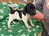 processed/e5280c10-0231-494c-b105-f4fac3436322/listing/d2b65708-8f5b-4d91-95d4-b0f11d157c78/29591987-0194-4a33-a6cc-3b583da35900