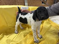 processed/e5280c10-0231-494c-b105-f4fac3436322/listing/d2b65708-8f5b-4d91-95d4-b0f11d157c78/3db75230-0f0c-430f-bdde-e0860aac4ac8