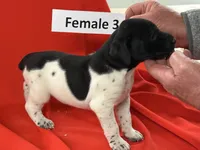 processed/e5280c10-0231-494c-b105-f4fac3436322/listing/d2b65708-8f5b-4d91-95d4-b0f11d157c78/59e2a169-7653-4e94-b3cf-c0bf363f5775