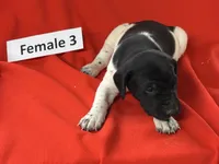 processed/e5280c10-0231-494c-b105-f4fac3436322/listing/d2b65708-8f5b-4d91-95d4-b0f11d157c78/94d6551e-1d70-40c6-8c85-1bd054764e72