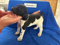 processed/e5280c10-0231-494c-b105-f4fac3436322/listing/d2b65708-8f5b-4d91-95d4-b0f11d157c78/ca191c8f-bd12-4d7f-9cf0-4b59dfe40f69