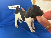 processed/e5280c10-0231-494c-b105-f4fac3436322/listing/d2b65708-8f5b-4d91-95d4-b0f11d157c78/f1aa7343-6ef3-40ba-a8f5-b6535f12fbdd