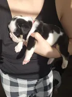 processed/e52ea0e6-532f-49f6-88fb-0d791bd771f4/listing/2c8b7425-30eb-40d5-aa44-b88d47deb3f8/218bab80-52e8-4383-a397-b9d104a30fa0