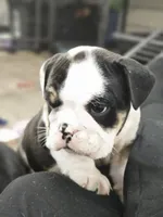 processed/e52ea0e6-532f-49f6-88fb-0d791bd771f4/listing/2c8b7425-30eb-40d5-aa44-b88d47deb3f8/26aec703-4b25-45b7-bc97-92f8433e9c9c