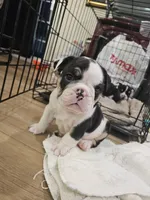 processed/e52ea0e6-532f-49f6-88fb-0d791bd771f4/listing/2c8b7425-30eb-40d5-aa44-b88d47deb3f8/e5886644-1c26-4154-be9e-c0f2d804a647