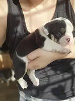 processed/e52ea0e6-532f-49f6-88fb-0d791bd771f4/listing/2c8b7425-30eb-40d5-aa44-b88d47deb3f8/f5cef613-d918-4972-a2ec-499097b466a2