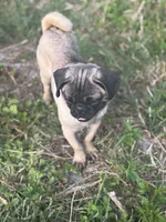 processed/e52ea0e6-532f-49f6-88fb-0d791bd771f4/listing/3a57dd50-5f0f-46c0-b0aa-efea6ae97a6e/0c890fc7-b87f-413a-96cb-d8b5774745fd