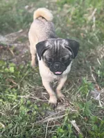 processed/e52ea0e6-532f-49f6-88fb-0d791bd771f4/listing/3a57dd50-5f0f-46c0-b0aa-efea6ae97a6e/25c6e0ea-851a-4536-9a56-f191b44db2b9