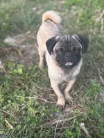 processed/e52ea0e6-532f-49f6-88fb-0d791bd771f4/listing/3a57dd50-5f0f-46c0-b0aa-efea6ae97a6e/66bd5529-e306-48ac-b3b9-bb78aceff54e