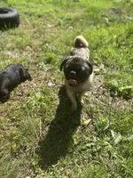 processed/e52ea0e6-532f-49f6-88fb-0d791bd771f4/listing/3a57dd50-5f0f-46c0-b0aa-efea6ae97a6e/6c347013-1fe4-432d-9f5c-31b4db744aa1