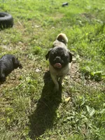 processed/e52ea0e6-532f-49f6-88fb-0d791bd771f4/listing/3a57dd50-5f0f-46c0-b0aa-efea6ae97a6e/823805b8-8b17-441b-b972-ddd974e6c773