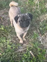 processed/e52ea0e6-532f-49f6-88fb-0d791bd771f4/listing/3a57dd50-5f0f-46c0-b0aa-efea6ae97a6e/83951ca9-cbad-4ae8-9601-d7a4fdf173cb